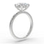 The Nova Hidden Halo | Oval Cut