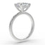 The Nova Hidden Halo | Princess Cut