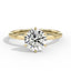 Nova Classic Six Round Solitaire in 18k Yellow Gold