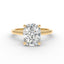 The Mira Hidden Halo | Cushion Cut