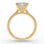 The Mira Hidden Halo | Princess Cut