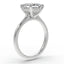 The Mira Hidden Halo | Princess Cut