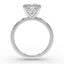 The Nova Hidden Halo | Princess Cut