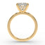 The Nova Hidden Halo | Princess Cut